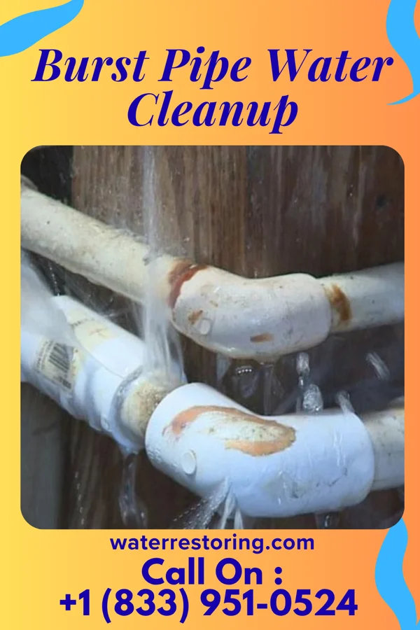 Burst Pipe Water Cleanup in Holiday City, OH