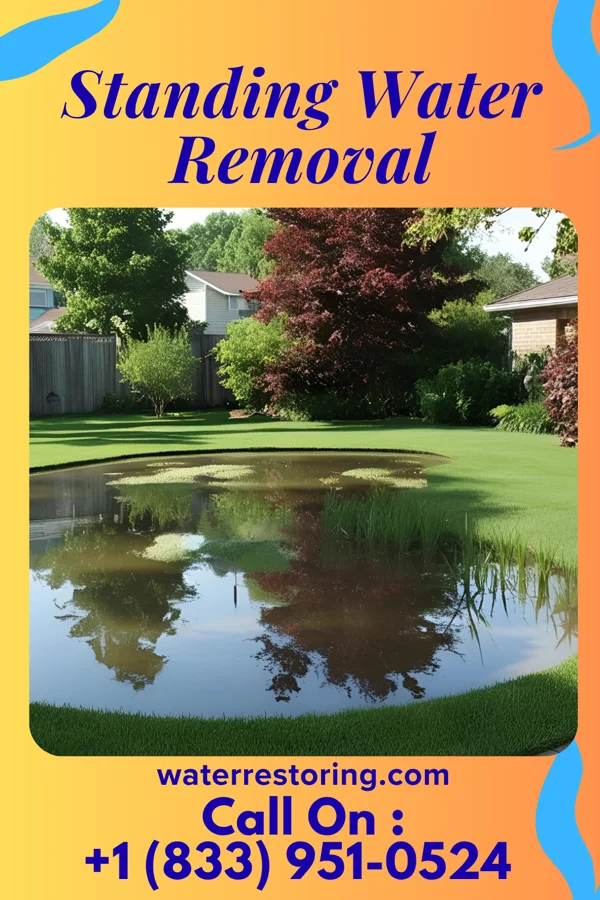 Standing Water Removal in Holiday City, OH